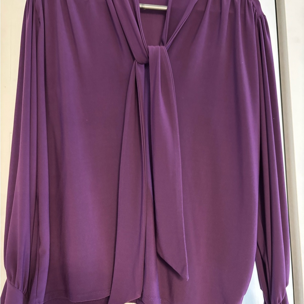 Zara Plum Tie-Neck Long Sleeve Blouse